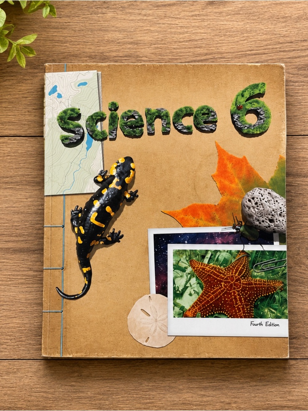 Science 6 Kids Workbook - Black & Yellow